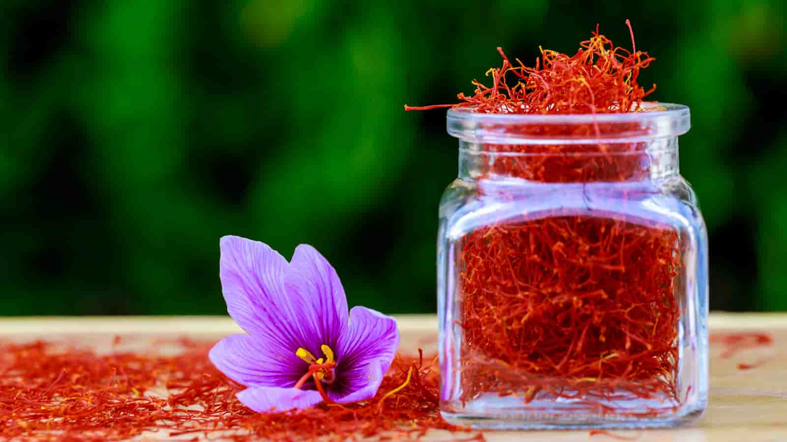 زعفران پوشال با رشته‌های کامل و ظاهر طبیعی